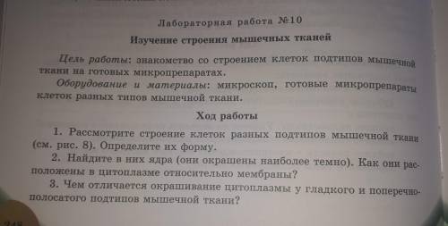 Лабораторная работа #10 Тема:Изучение строения мышечных тканей. Если делайте то сделайте всё