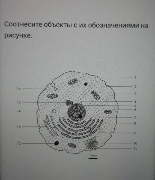 пожайлуста.номера 1,2,8,10,11,13,14,16​