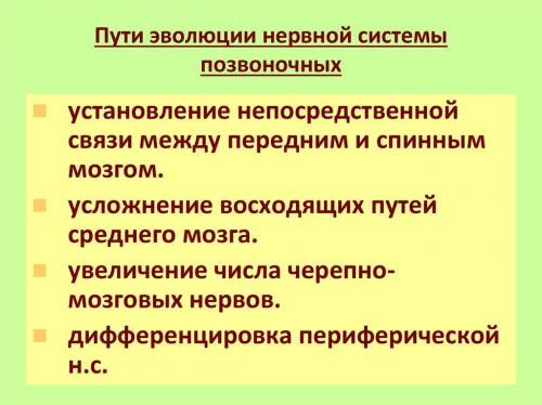 К чему привела эволюция нервной системы позвоночных? ​