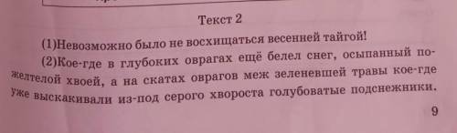 Расставить знаки препинания. Выделить д.о. и п.о. Грамматическую основу подчеркнуть