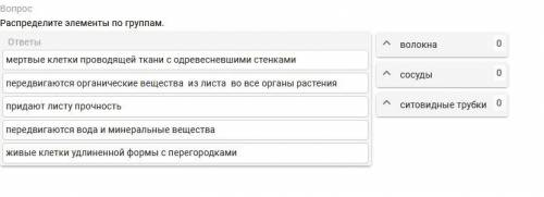 Выполните задание для 6 класса по биологии по теме Транспортная система у листа