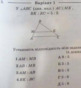 Установіть відповіlність між заданими відрізками (1-4) та відношеннями їх довжини (A - D)