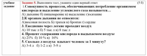 Совокупность процессов, обеспечивающих потребление организмом кислорода и выделение углекислого газа