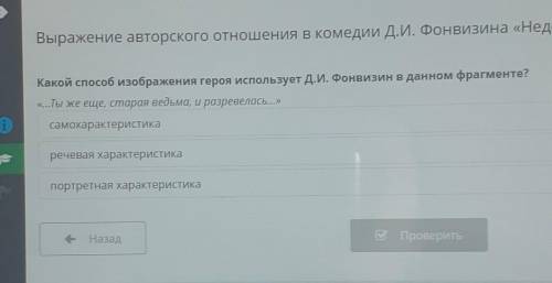 Какой изображения героя использует Д.И. Фонвизин в данном фрагменте? «...Ты же еще, старая ведьма, и