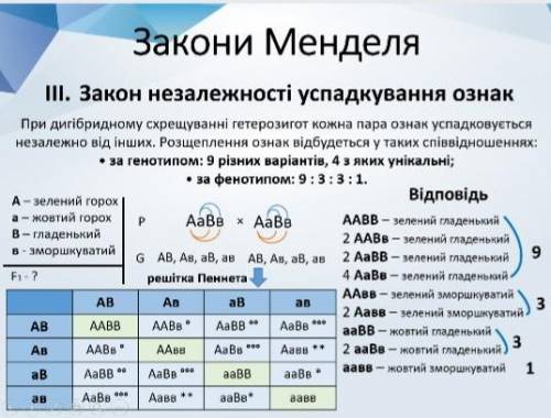 1) виконайте дигібридне схрещування Аавь і АавB 2) оформіть так, як показано на слайді і обов*язково