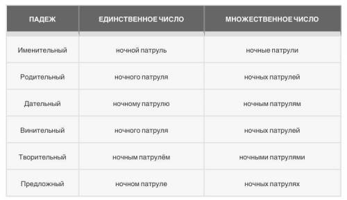 склонение словосочетания ночной патруль​