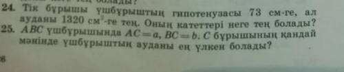 Помагите разрабы геометрия 8 класс​