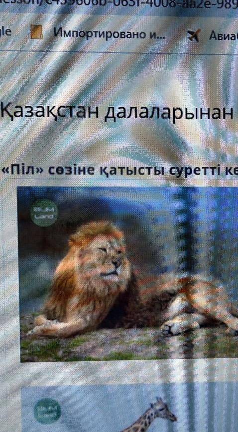 Қазақстан далаларынан өткен Ұлы Жібек жолы«Піл» сөзіне қатысты суретті көрсет. ​