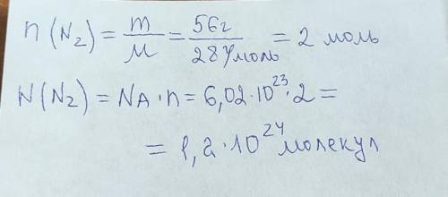 3. Рассчитать количество молей в 56 г азота. Сколько молекул азота содержится в этом количестве веще