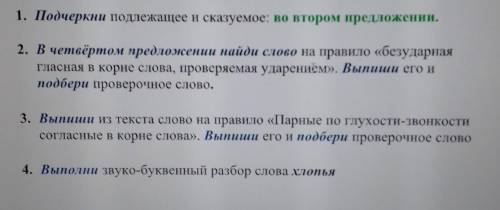 Друзья пошли в лес. Вот с сосны упали снежные хлопья. Это прыгнула белка. В сучьях деревьев было жил