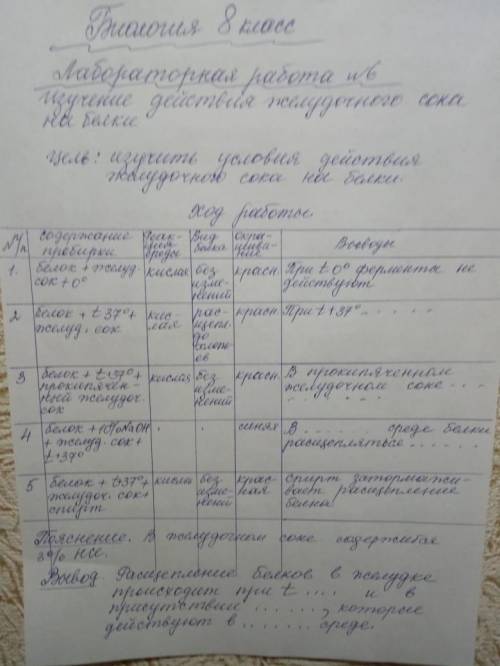 Лабораторная работа заполнить таблицу изучение действия желудочного сока на белки