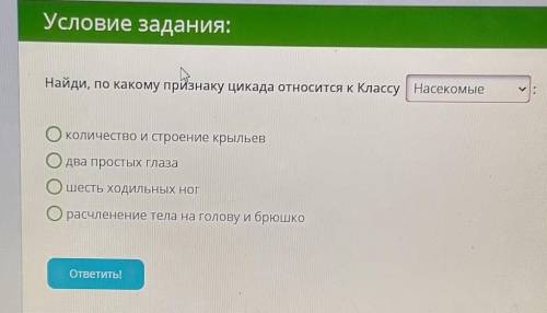 По какому признаку цикада относится к насекомые ​