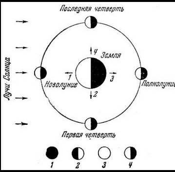 Нарисуйте,как выглядит Луна между полнолунием и последней четвертью​