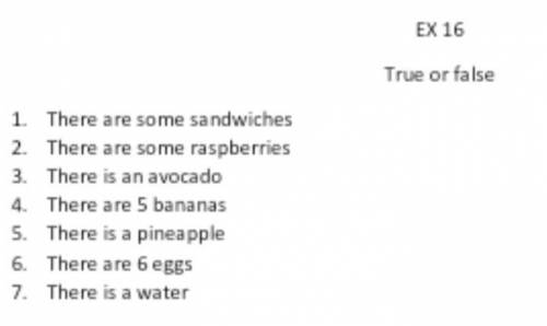 Class work: exercise 16 write true or false