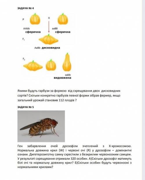 Розв'яжіть будь ласка задачі ​