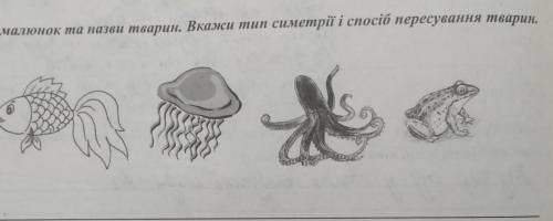 3. Розглянь малюнок та назви тварин. Вкажи тип симетр б пересування тварин.​