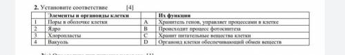 2. Установите соответствие [4] Элементы и органоиды клетки Их функции1 Поры в оболочке клетки A Хран