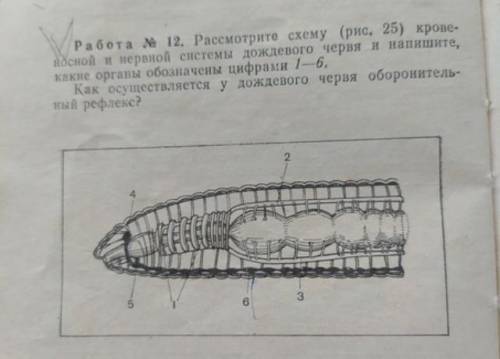 с биологией.Задание на скрине(смотрите вложение)