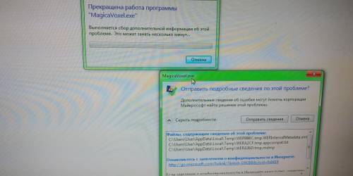 Скачал программу для моделирования «MagicaVoxel» и не заходит, нажимаю- вылетает табличка с ошибкой(