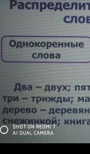 Распродилите предложенные пары слов на 2 колонки​