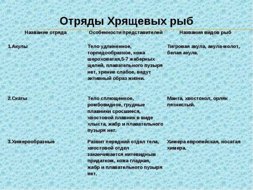 Таблица отряды рыб все: 1)Отряд 2) особенности строения 3) представители 4) значение