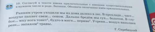 10. Согласуй в тексте имена прилагательные с именами существительными в нужном числе и роде. Запиши.