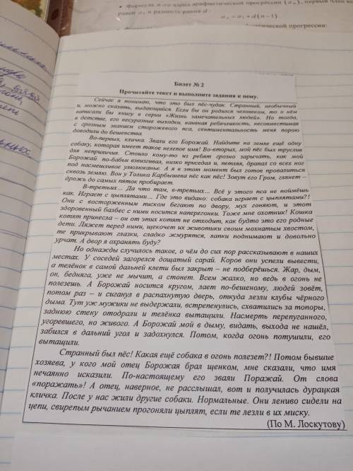 Найдите в тексте имена прилогатьльные. Два примера, дайте их морфологическую характеристику. Свой от