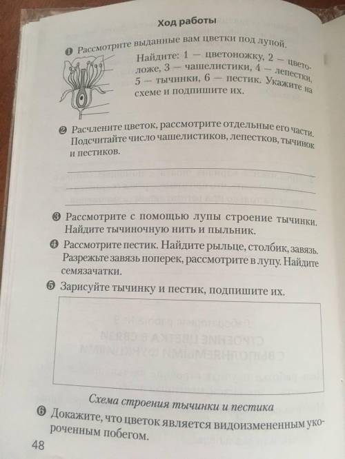 можете с лабораторной номер 9 по биологии строение цветка в связи с выполняемыми функциями