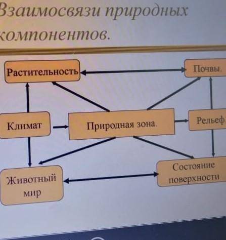 Заполните таблицу взаимосвязей природных компонентов полупустынь(на фото нужно сдать!​