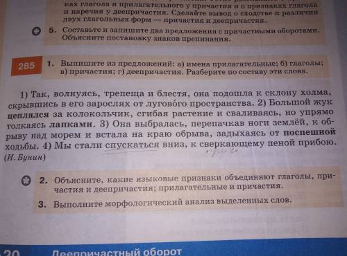 Только 3 и 4 Надо ещё подчеркнуть деепричастие, причастие, глаголы И т.д