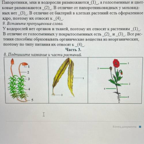 8. Подпишите название и части растений.