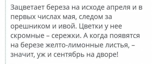 Это не алгебра Роль растений в жизни людей. Урок 1Прочитай текст«Красавицей русских лесов называют л