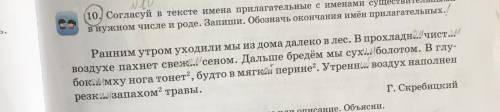 Прочитай текст. Согласуй имена прилагательные с именами существительными в нужном числе и роде. Запи