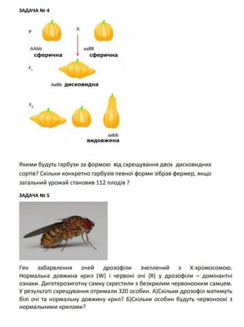 До ть виконати 4 і 5 номер ​