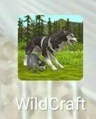 Кто знает эту игру Wild craft​