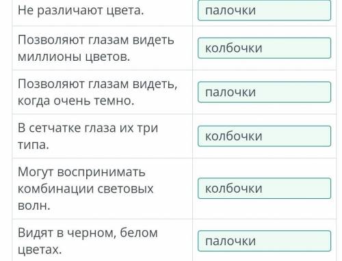 Структура и функции палочек и колбочек, волосковых клеток. лабораторная работа определение слепого п