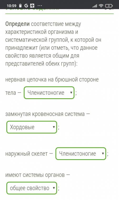 Как думаете, у меня правильно ли все или нет? Если нет, то что именно?