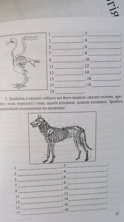 только бистро мне оченьь нужно дам все свои ​