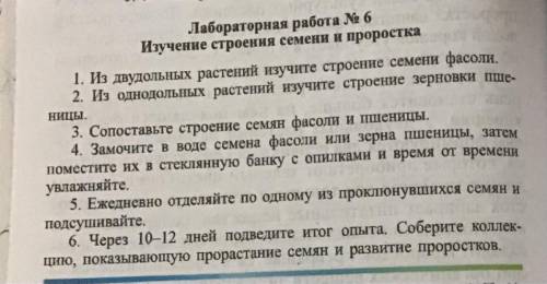 можете быстро сделать заранее большое у меня очень мало времени