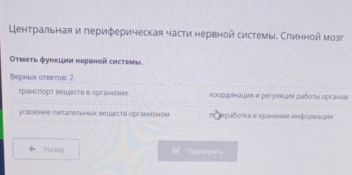 Центральная и периферическая части нервной системы. Спинной мозг отметь функции нервной системы верн