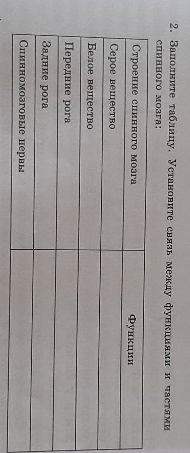 Заполните таблицу. Установите связь между функциями и частями спинного мозга:Строение спинного мозга