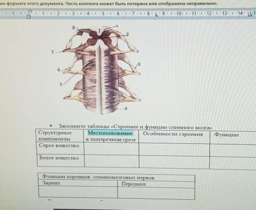 Подпишите рисунок 8765TЗаполните таблицы «Строение и функции спинного мозга»Структурные Местоположен