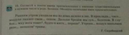 Ранним утром уходили мы из дома далеко в лес. В прохладно... Чист.. Воздухе пахнет свежим сеном. Дел