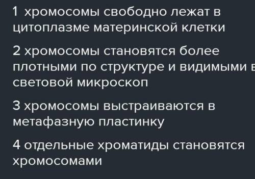 Расположите события, происходящие с хромосомами клетки тела человека во время митоза, в правильном п