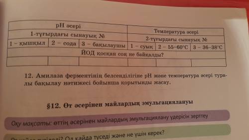 12-зертханалық кестесін толтыру