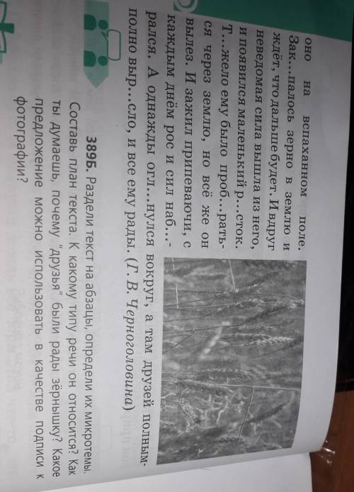 389Б. Раздели текст на абзацы, определи их микротемы, Составь план текста. К какому типу речи он отн