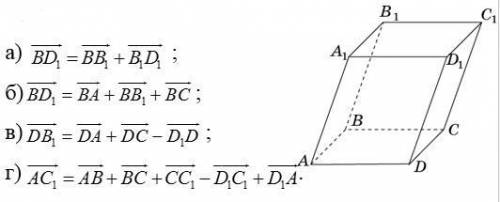 Дан параллелепипед A...D1 правильные ли эти утверждения дам 50б