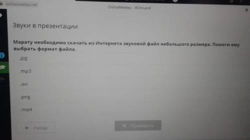 Марат необходимо скачать из Интернета звуковой файл небольшого размера ему выбрать формат файла Онла