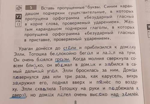 Вставь пропущенные буквы. Синим каран- дашом подчеркни существительные,которыхпропущена орфограмма «