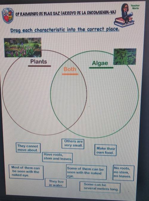 Drag each characteristic into the correct place. PlantsAlgaeBoth